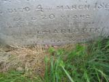 image of grave number 443785